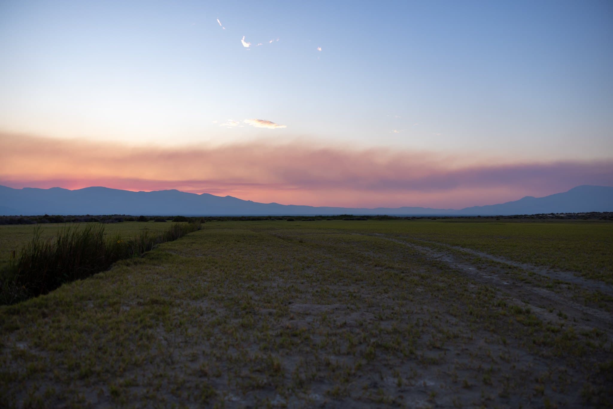 Untitled photograph from the 2026 Emigrant Trail Ride