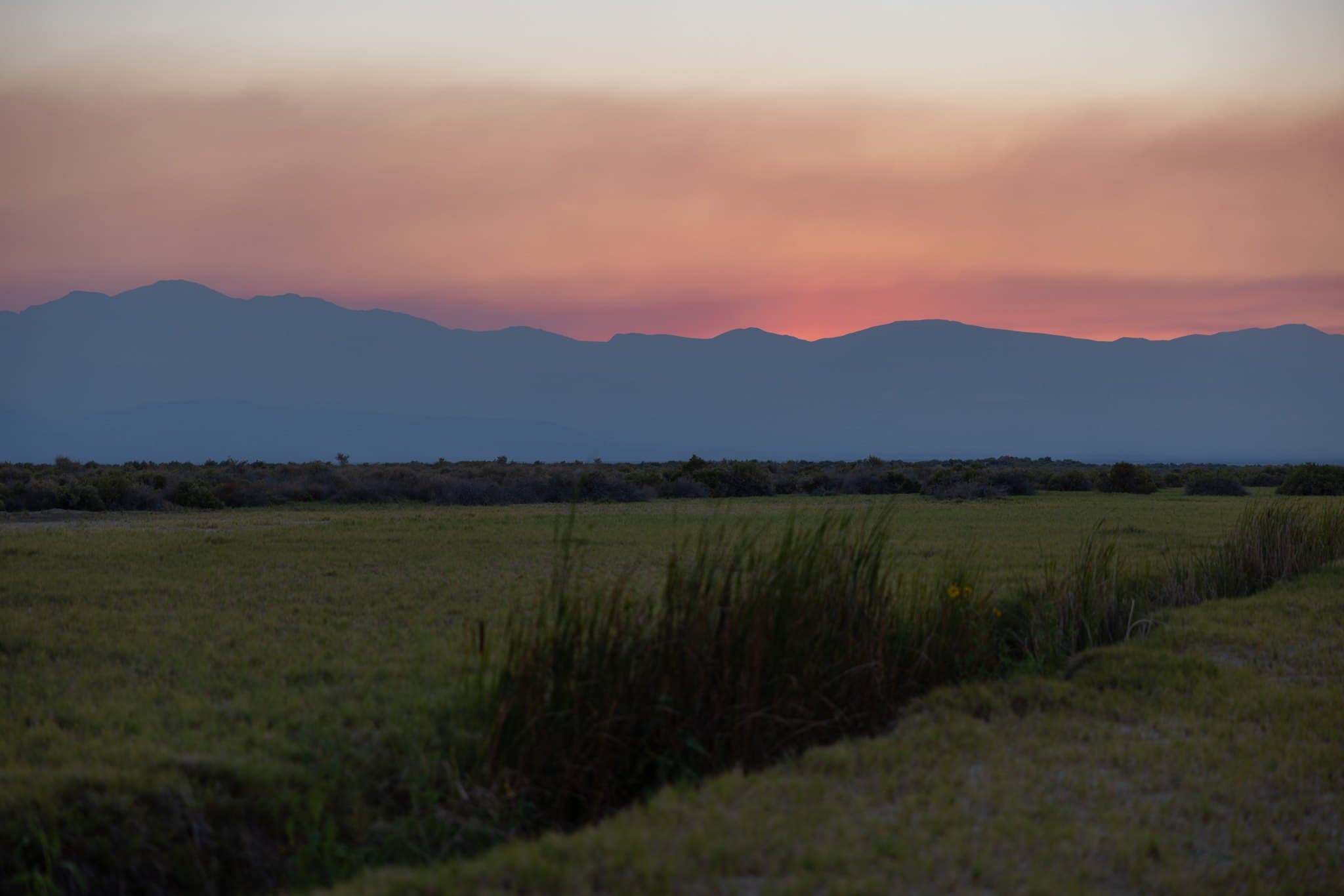 Untitled photograph from the 2026 Emigrant Trail Ride
